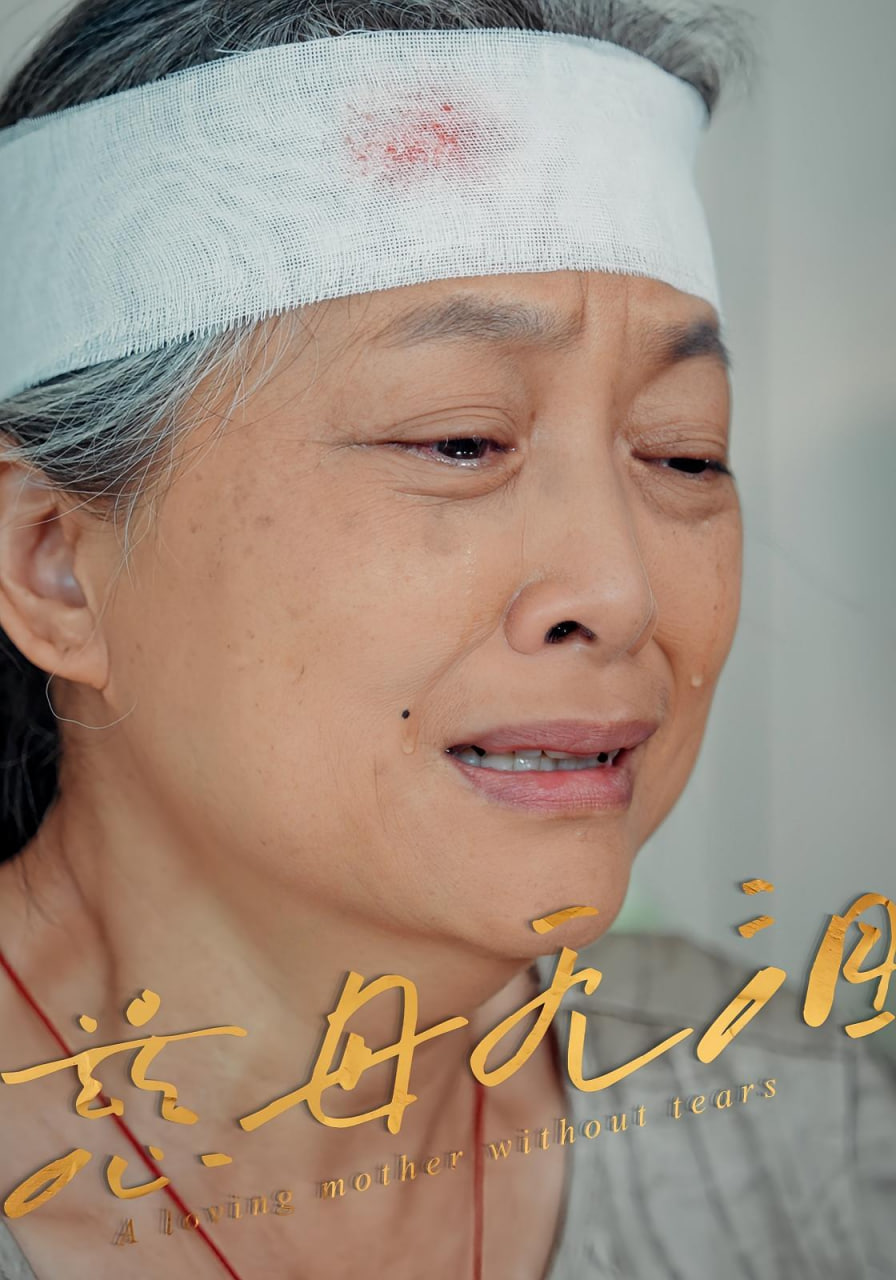 慈母无泪 - 第30集完结_人物塑造_明德艾影-大片网